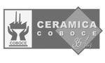 cerámicaCOBOCEborrador-removebg-removebg-preview